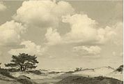 Duinen