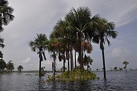 Inheemse dorp Mashabo aan het meer