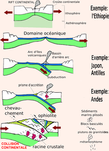 Schéma montrant : rift continental, domaine océanique, arc insulaire volcanique, cordillère avec prisme d'accrétion, collision continentale.