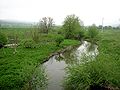 la rivière dans sa traversée de Rakitnitsa (Ракитница)