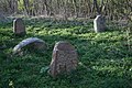 Cimetière juif de Lioubavitchi