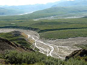 Braided river ecosystem