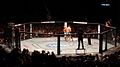 Image 6An octagon cage used by the UFC (from Mixed martial arts)