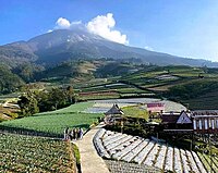 Negeri Sayur Sukomakmur, Kajoran