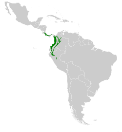 Distribución geográfica del picohoz coliverde.