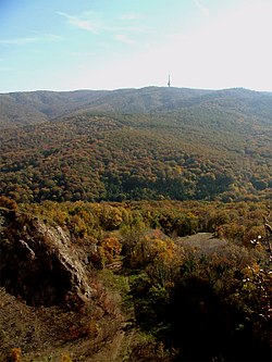 Fruška gora