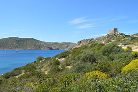 Le château de Cabrera.