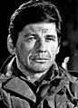 Charles Bronson