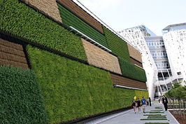 The Israeli field wall covering the pavilion