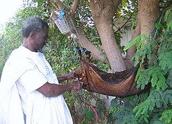 Goatskin water container in Mauritania