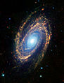 M81