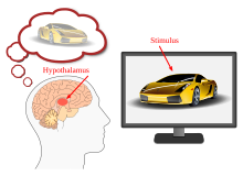 neuromarkenig