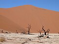 La duna più alta del Mondo (>300 m). Sossusvlei, Namibia.