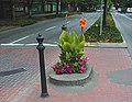 Smallest park in the world: Mill Ends Park