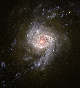 NGC 3310