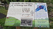 Panneau "la route des Jardins" : le Jardin des Vergers de Norroy[36].