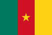 Bandera de Camerún