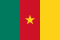 Bandiera del Camerun