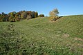 Heidengraben oppidum, rampart, Germany.[36]