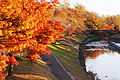 奈良県立竜田公園