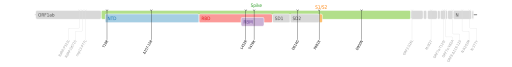 Les mutations du variant Delta sur une carte génomique du SARS-CoV-2