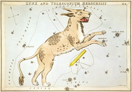 Tarjeta 8: Lince y Telescopium Herschilii