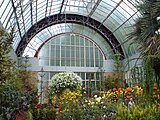 Inside the Wintergardens Tropical House.