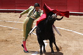 Troisième tercio : faena de muleta, passe de poitrine.