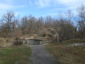 Armentia park. Alto del Molino.