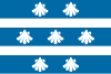 Flag of Padrenda