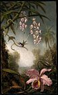 Orchids and Spray Orchids with Hummingbird, cerca de 1875-1890