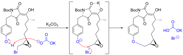 Synthesis of macrocidin A via SN2 etherification.