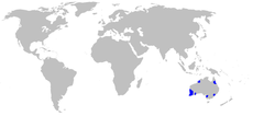 Distribución de Boryaceae