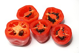 Variété Capsicum pubescens (Rocoto à graines noires).