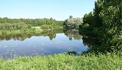 Ala-Kauvatsan joki kuvattuna alajuoksulla ylävirtaan päin retkeilyreitin maihinnousulaiturin läheltä.