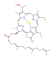 Bactériochlorophylle d