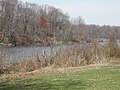 Lawrence Brook in Milltown