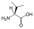 L-Valina (Val / V)