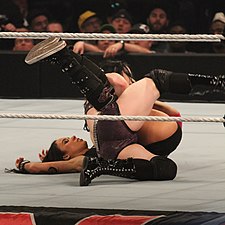 Paige pins A. J. Lee