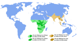 Msambao wa Ndovu wa Afrika (kijani) na Ndovu wa Asia (kahawia).