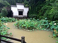 Kolam lotus