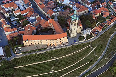 Château, vignoble et église Saints-Pierre-et-Paul.