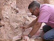 Jean-Jacques Hublin deutet auf die Augenhöhlen des Fossils Irhoud 10, das noch unberührt im Boden liegt.