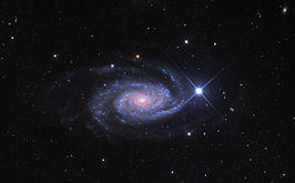 NGC 3338