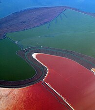 Salz­wasser­becken in der Bucht von San Francisco