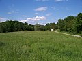 Vilsauen des Naturschutzgebiets bei Aunkirchen