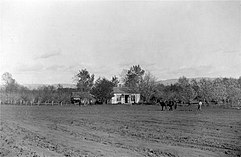 Fruit farm and vineyard, 1890s