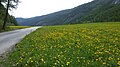 Panorama intorno al villaggio Glassier.