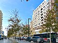 A typical street in Vlorë showing high rise buildings in the city