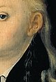 Die weiße Farbe bei den feinen Haaren ist deckend und kaum erhaben aufgetragen. Lucas Cranach d. Ä.: Bildnis eines jungen Mädchens, vor 1537. Detail.